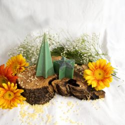 candela stella verde