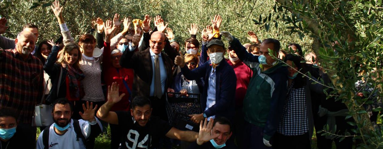 “Tradizione, passione e cooperazione senza tempo: La Cooperativa Litografi Vesuviani e la Cooperativa Lavoro in Corsi celebrano la Raccolta delle Olive”