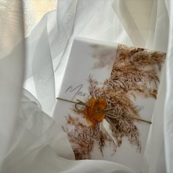 partecipazione pampas