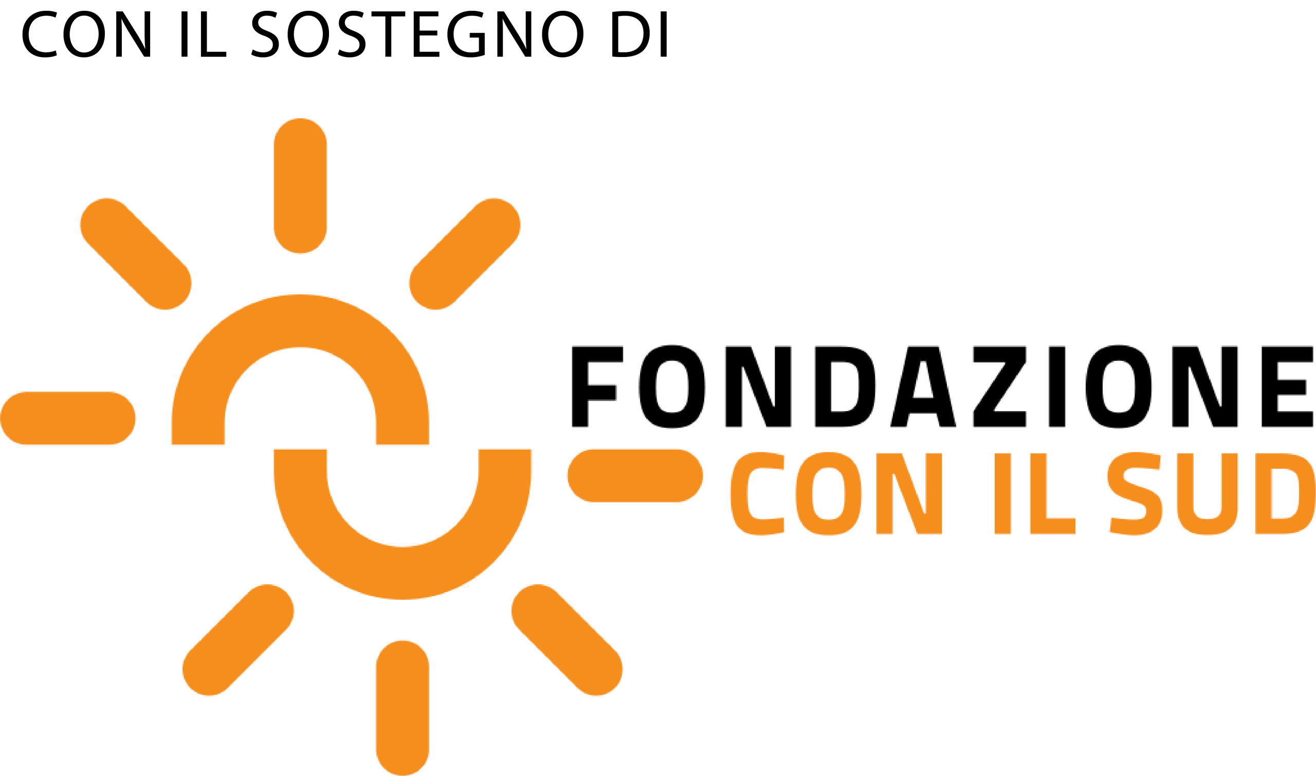 fondazione con il sud