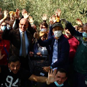 “Tradizione, passione e cooperazione senza tempo: La Cooperativa Litografi Vesuviani e la Cooperativa Lavoro in Corsi celebrano la Raccolta delle Olive”