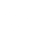 fondazione con il sud